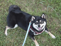 古い写真　良い笑顔だね