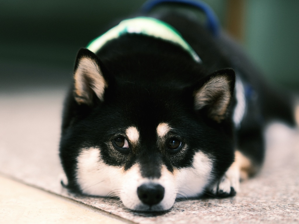 ジト目