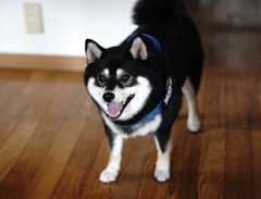 無駄に高いテンション
