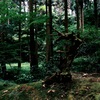 御岩神社にて