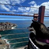 城ケ崎海岸にて