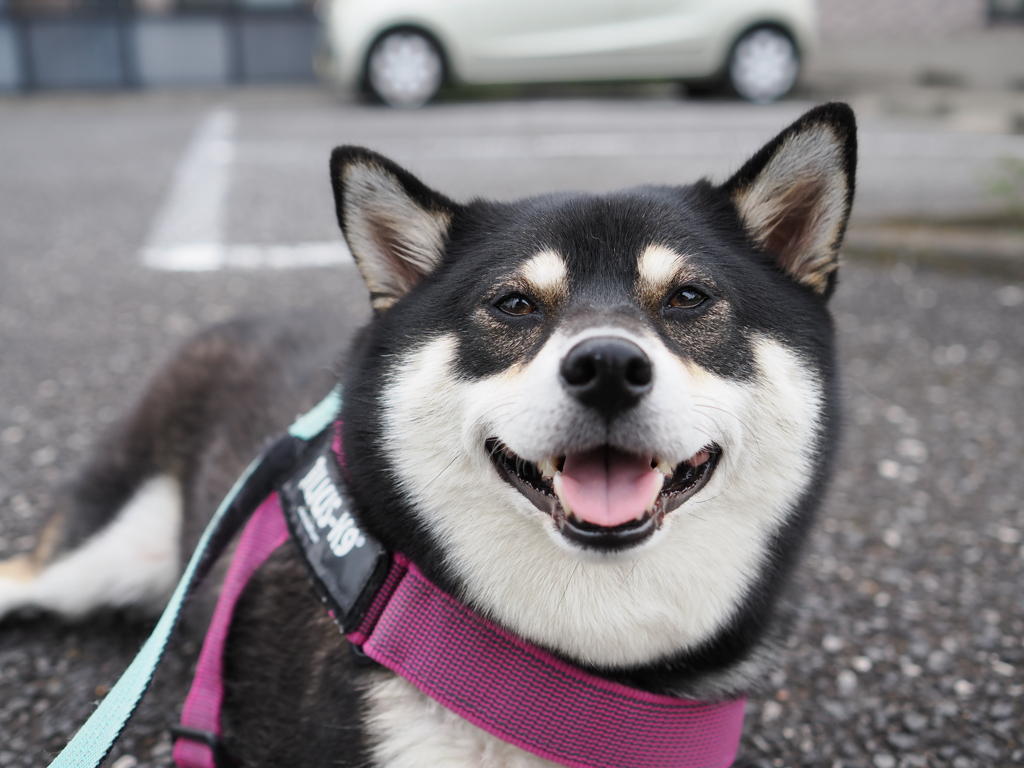 お気に入りの場所