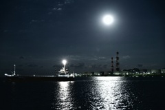 古い写真