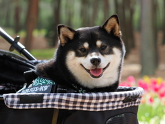 にっこり