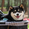 にっこり