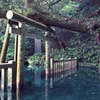 鹿島神宮　御手洗池