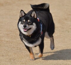 楽しかった思い出