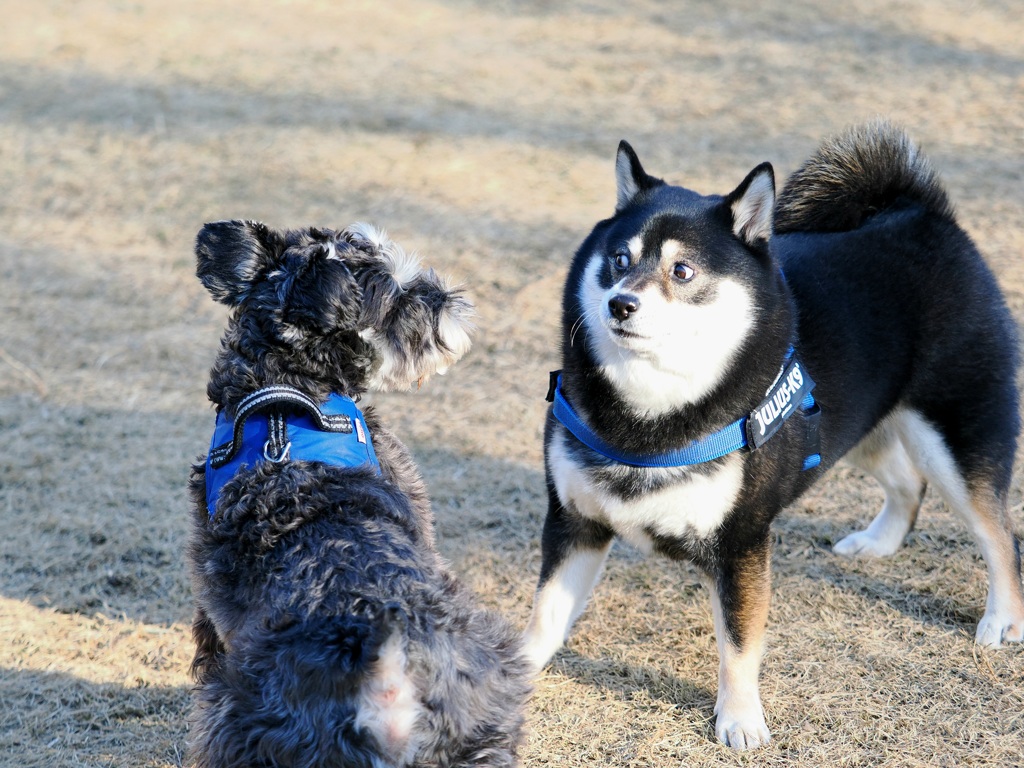 びっくりしたなぁ