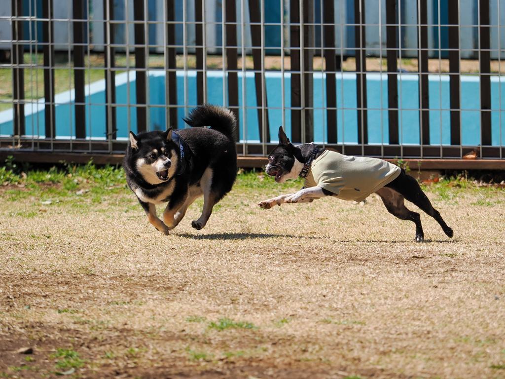 少しだけ遊んだね