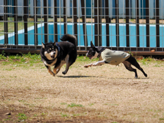 少しだけ遊んだね