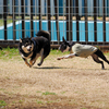 少しだけ遊んだね