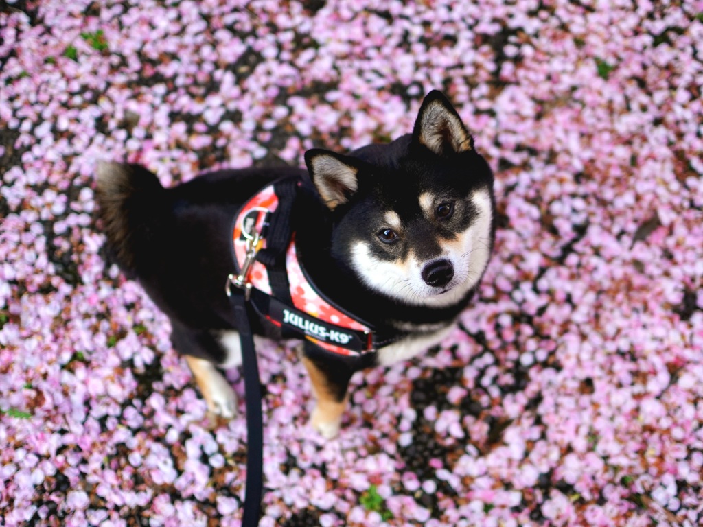 一昨年の今頃
