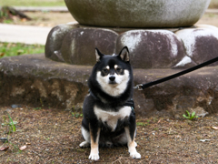 思春期の記念写真
