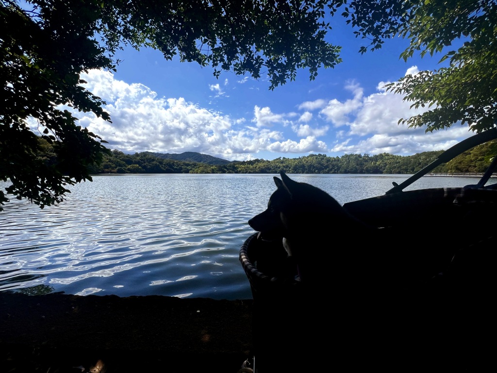 一碧湖にて