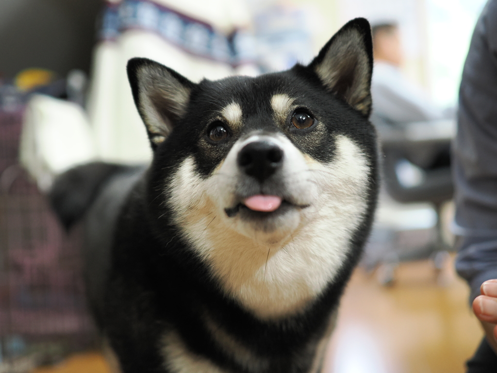 オヤツが気になる
