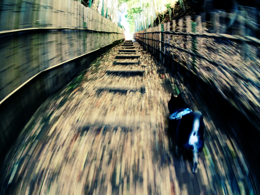 なんだ坂こんな坂