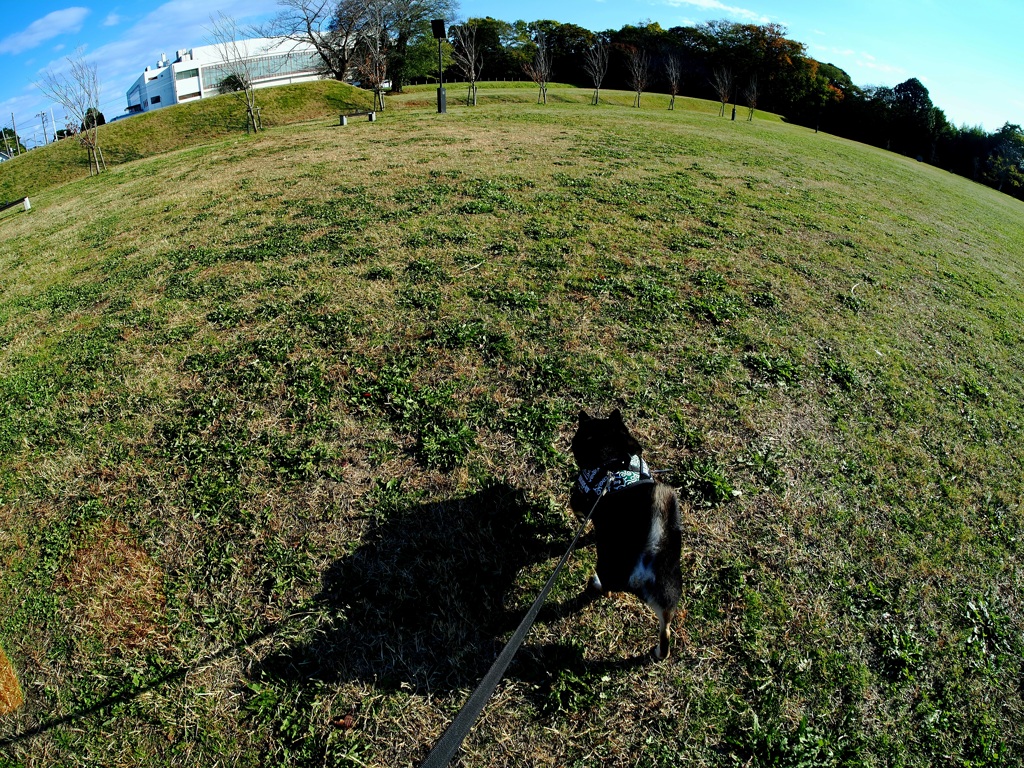 どこまでもいこう