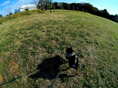 どこまでもいこう