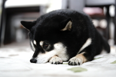 いつものセルフ腕枕