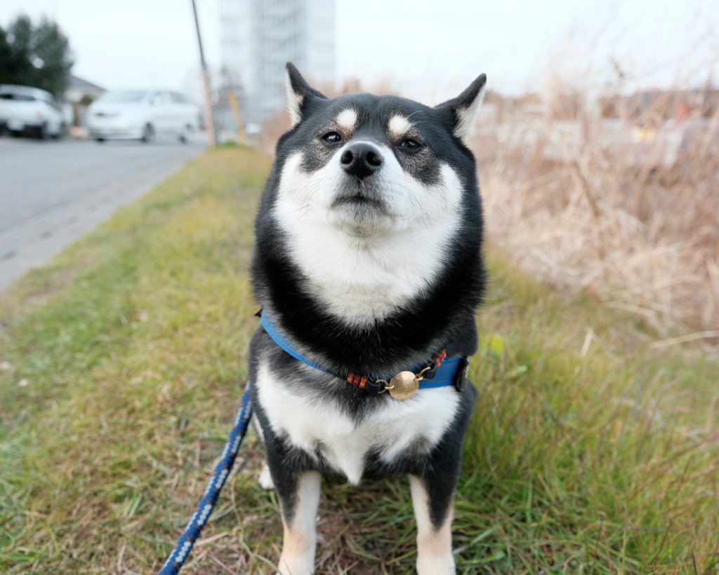 そんな目付きで人を見るもんじゃない