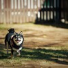 楽しいね