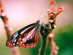 足立区生物園にて