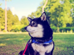 大好きな公園