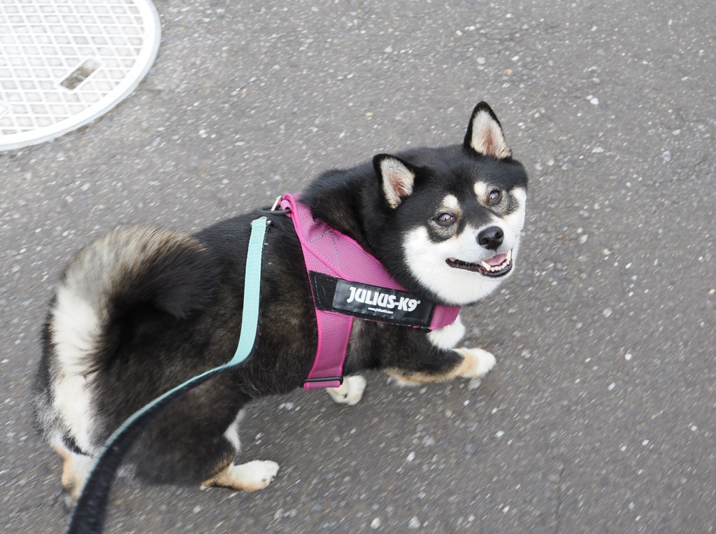 こっちに行こうよ