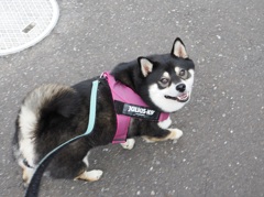 こっちに行こうよ