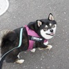 こっちに行こうよ
