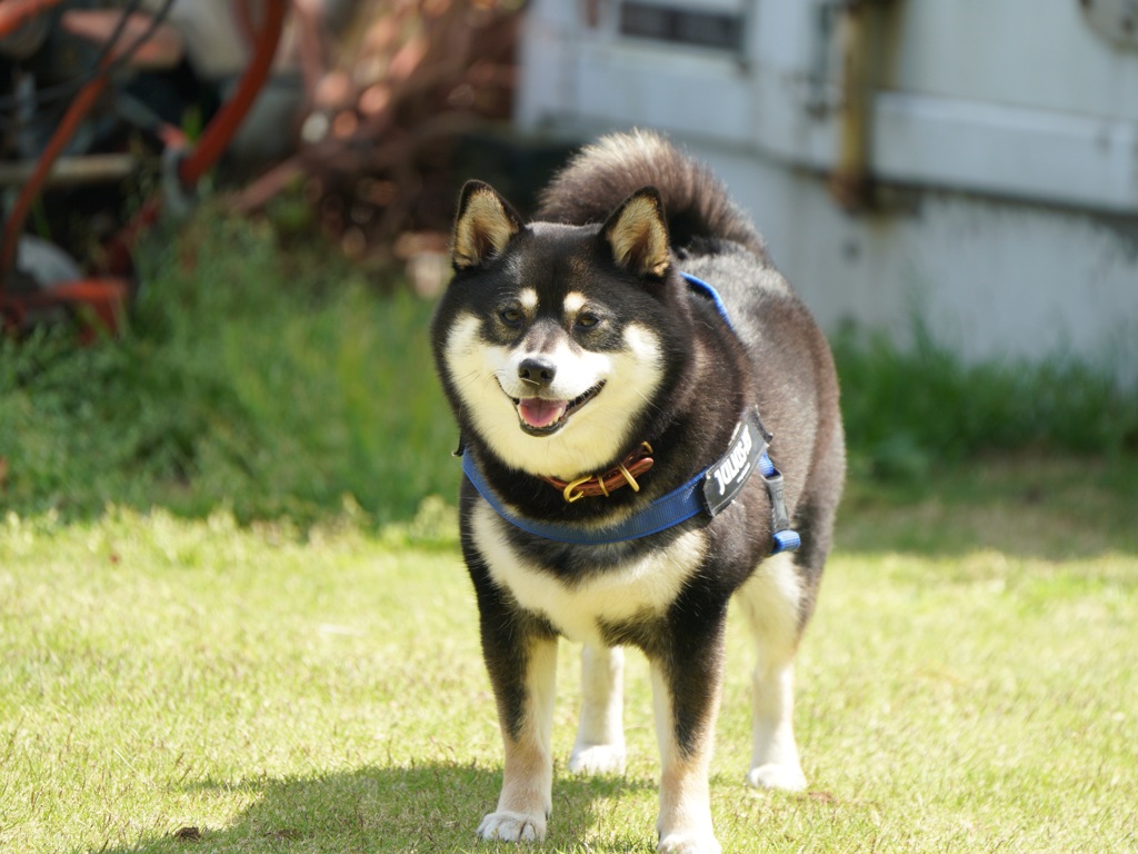 にっこり