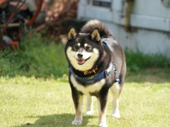 にっこり