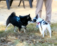 ともだちになろうよ