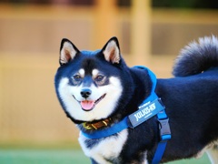 目がキラキラ