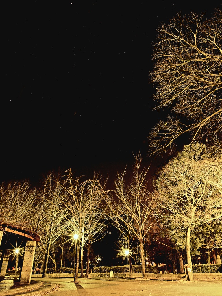 夜の公園