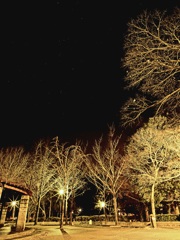 夜の公園