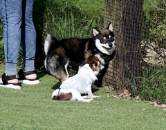 タスケテ・・・