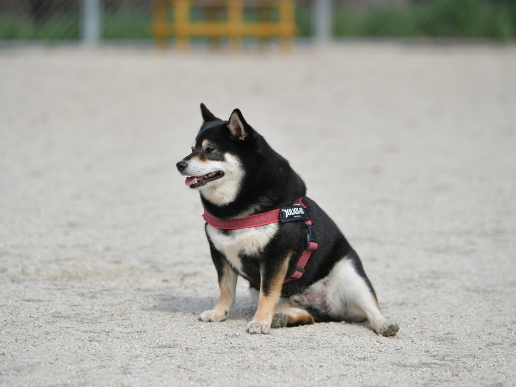 お前もオッサンじみてきたなぁ