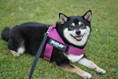 楽しかったね
