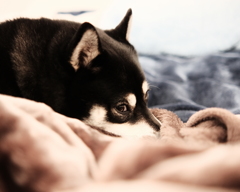 去年のクリスマスも暇だった