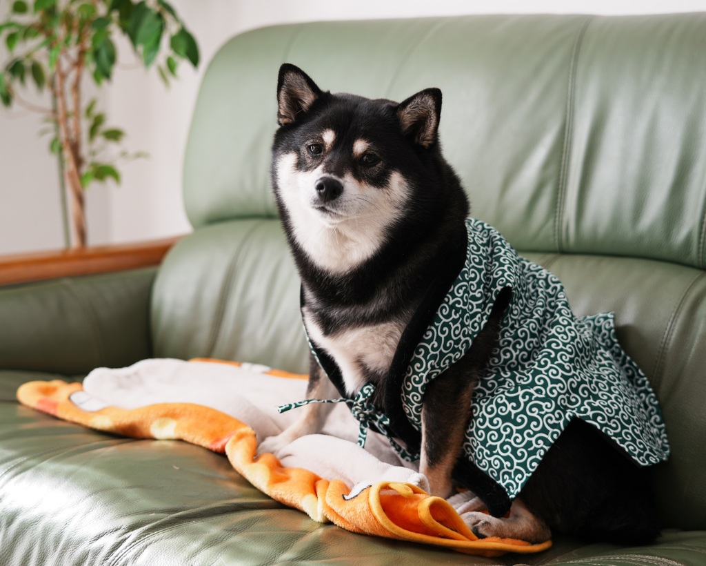 ちゃんちゃんこ