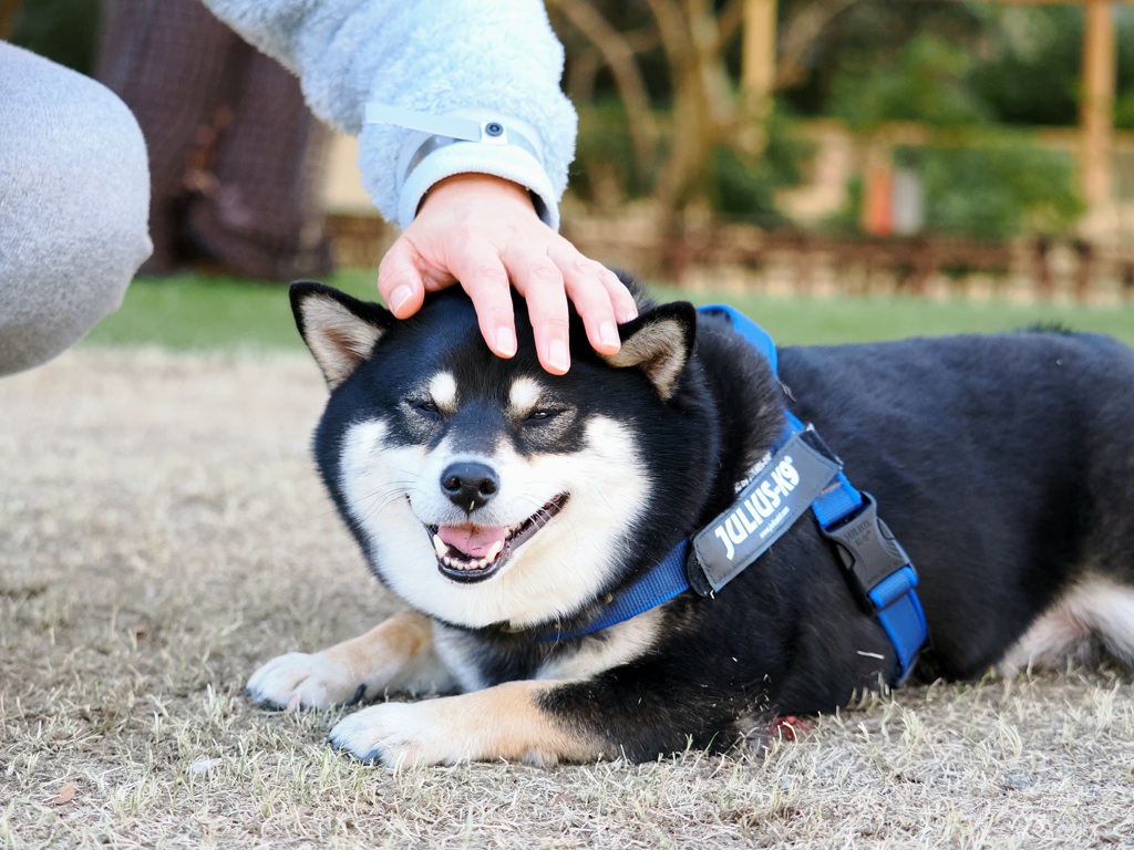 今年一番の笑顔