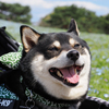 みんなでおでかけたのしいね