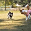 お気に入りの写真