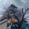 冬の熊本城