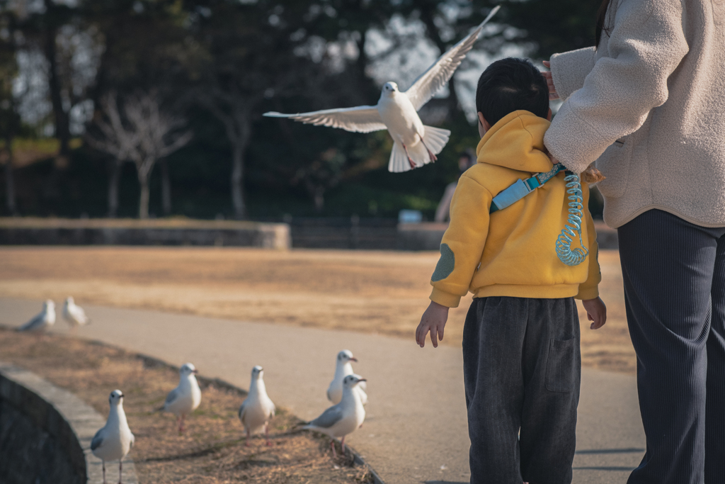 公園スナップ