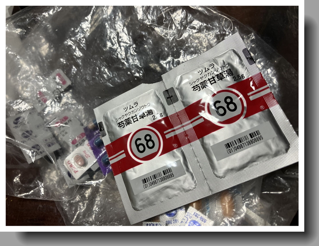 百骸九竅（ひゃくがいきゅうけつ）老いさらばえて