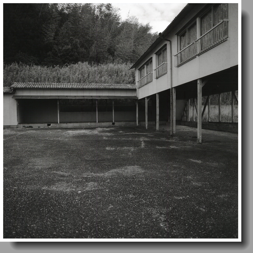 最奥に陣取ってたっけ。