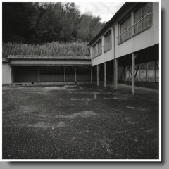 最奥に陣取ってたっけ。