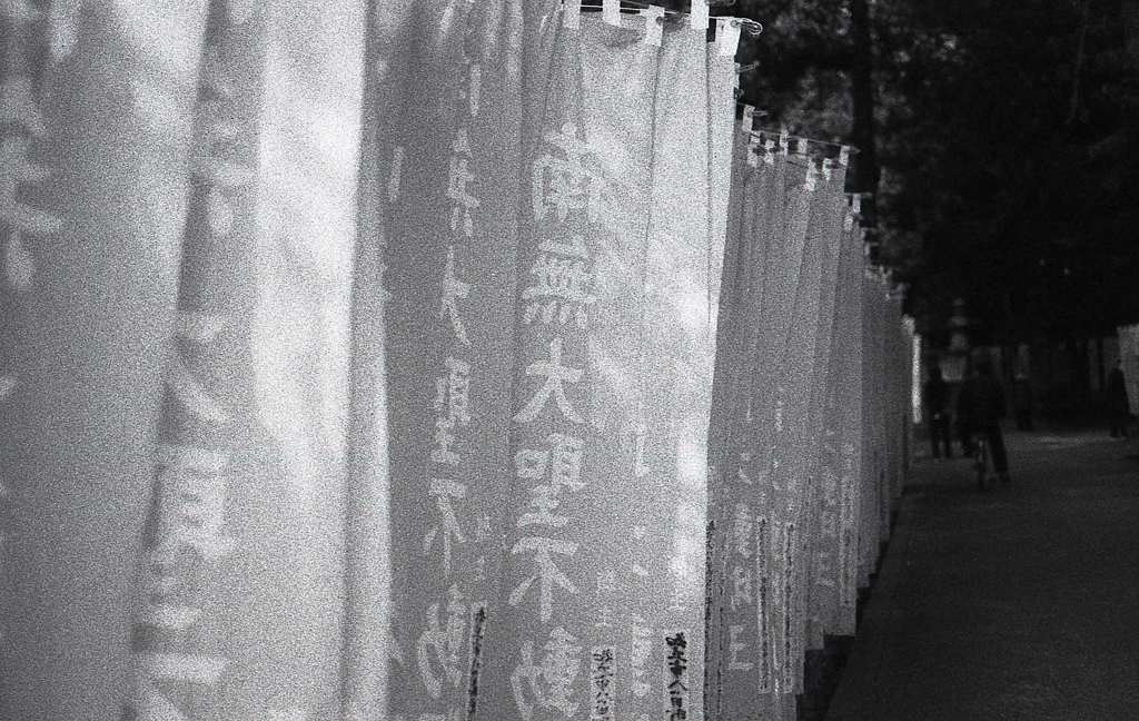 ノイジーな幟の連続体